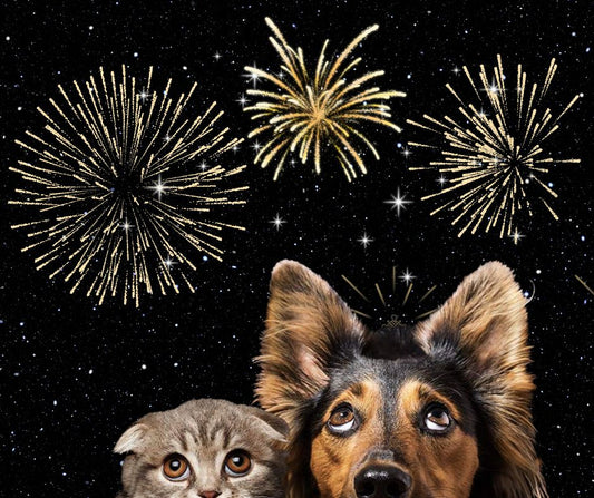 Natural ways for soothing Your pet’s firework season anxiety