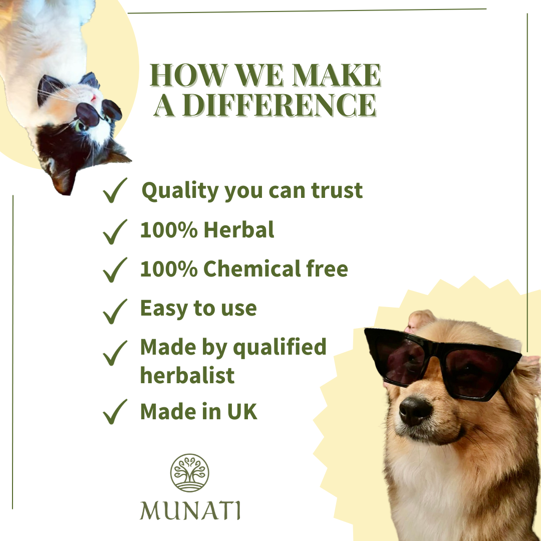 Natural Aromatherapy Calming Spray For Pets 'Pawesome Sleeps'  Munati, 200ml