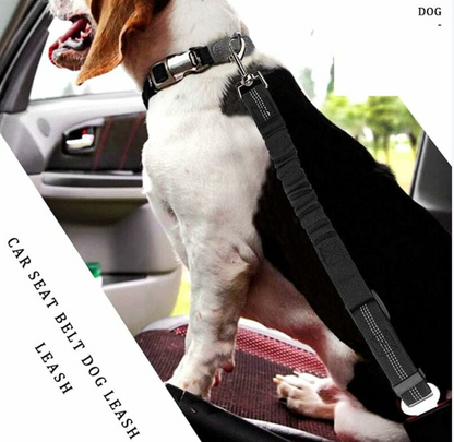 Flexible Pet Seatbelt With Shock Absorption And Carabiner