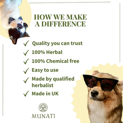 Shampoo and Conditioner 2-in-1 For Pets ‘Lemongrass’ Munati 500ml